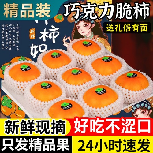 巧克力脆柿子10斤大果