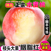 脆甜水蜜桃5斤枝頭大果順豐包郵