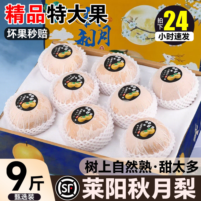 正宗山东莱阳秋月梨子新鲜水果礼盒装9斤中秋水果整箱包邮