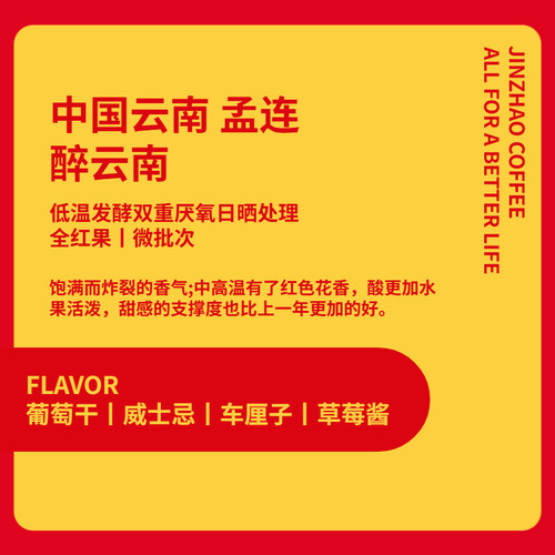 冷萃今朝最卡迪姆云南酸甜咖啡豆
