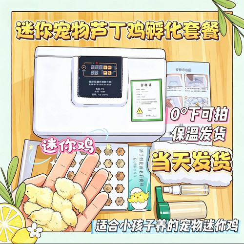芦丁鸡蛋受精蛋可孵化全套 芦丁鸡孵化器家庭萌宠宠物鸡