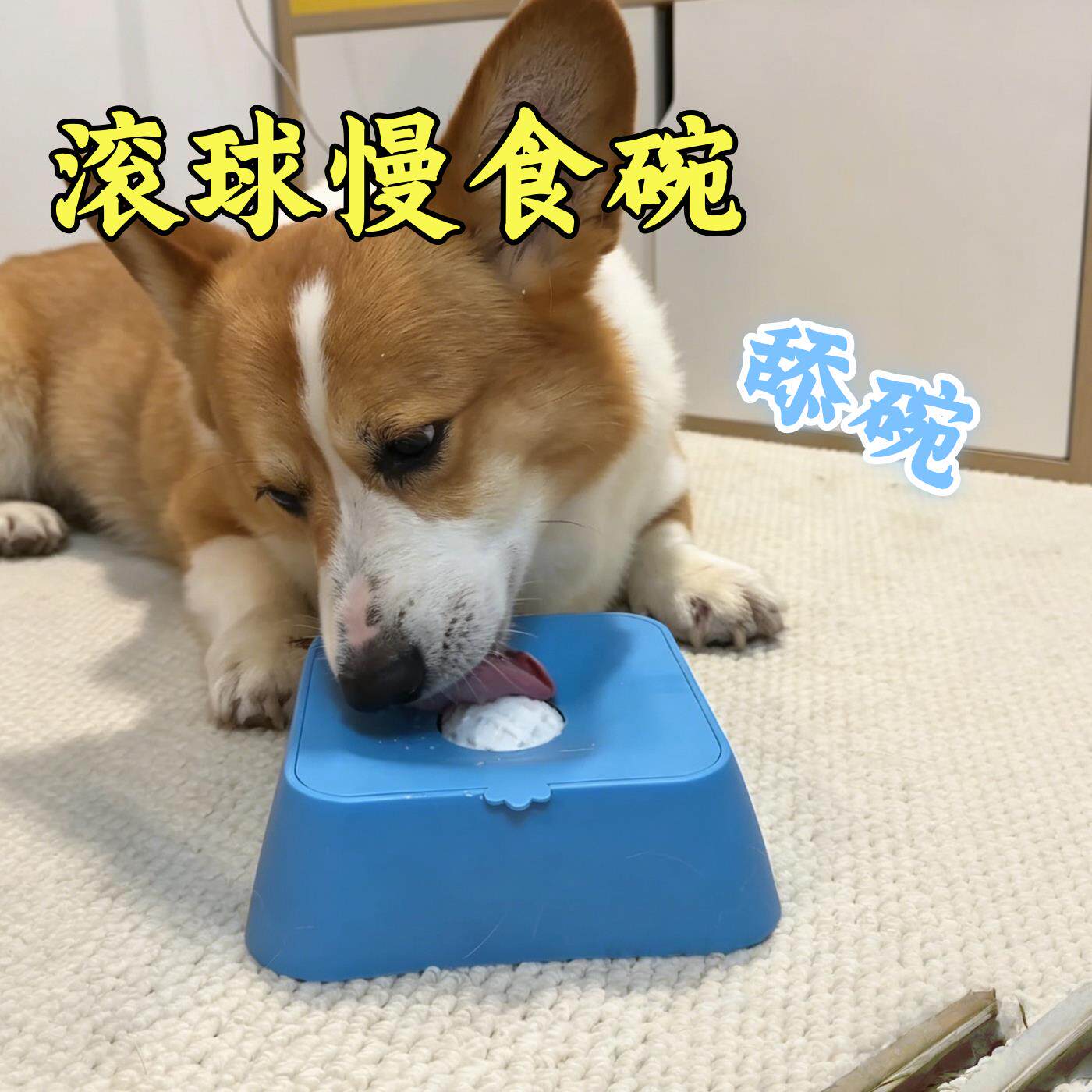 慢食碗狗狗猫咪小中大型犬湿粮水盆一体舔舔球宠物用品罐头舔食碗图片