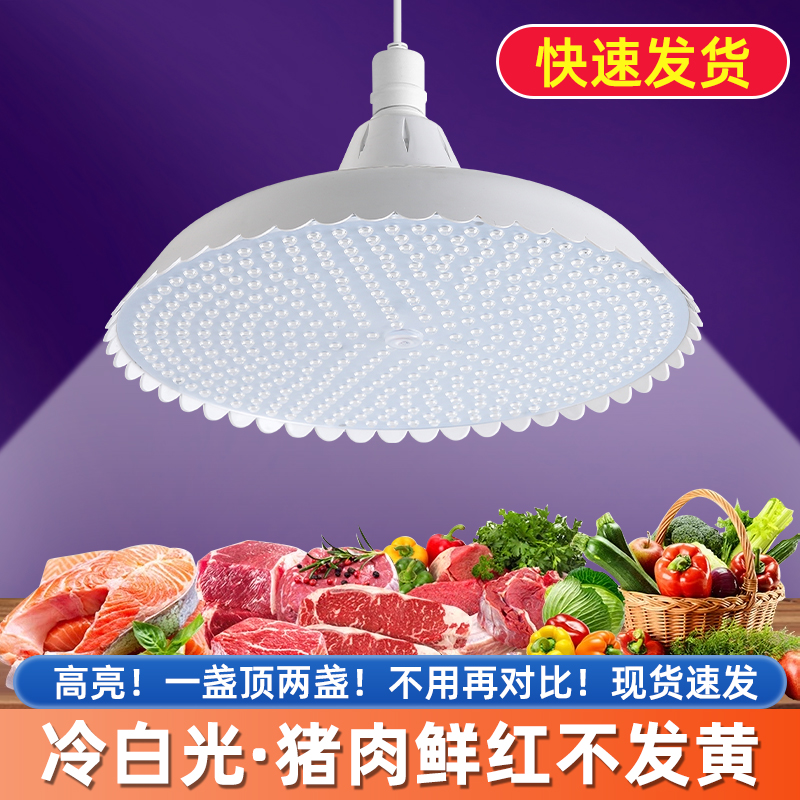鼎鸿新国标led生鲜灯猪肉冷鲜肉鸡鸭鱼卤肉熟食水果菜市场专用灯