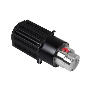 磁力驱动齿轮泵灌装 高精度耐高温不锈钢齿轮泵头 计量微型磁力泵