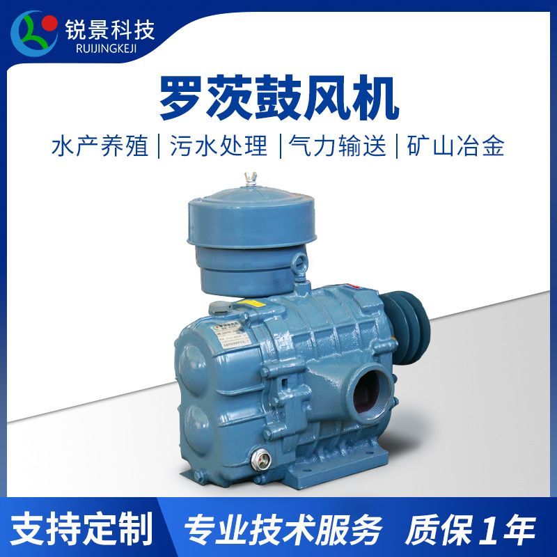 三叶罗茨鼓风机污水处理水产鱼塘养殖增氧机高压罗茨风机