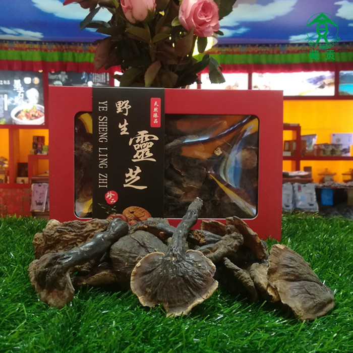 野生白肉灵芝干货切片泡酒西藏