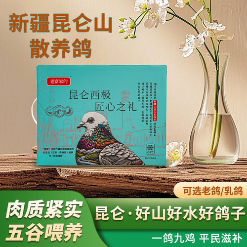 新疆昆仑山农家散养鸽子