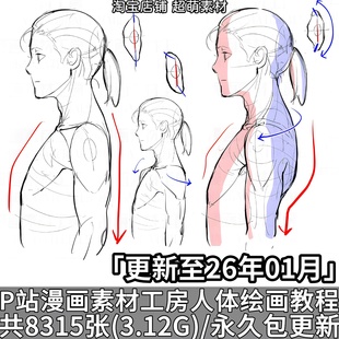P站漫画素材工房人体结构骨骼身体部位拆解绘画临摹教程图片素材