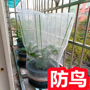 花盆保护罩防猫 花盆网罩 植物保护罩 防鸟罩 盆栽防虫网罩种菜卉