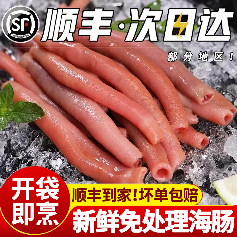 【顺丰次日达】新鲜海肠免处理