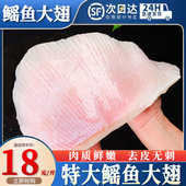 新鲜鳐鱼大翅冰鲜瑶鱼小翅膀魔鬼鱼老板鱼鳍鲜活冷冻海鲜商用批发