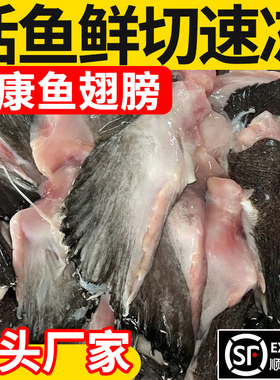 冷冻安康鱼翅膀新鲜鱼翅鱼鳍安康鱼鲜活深海鱼翅海鲜水产整箱批发