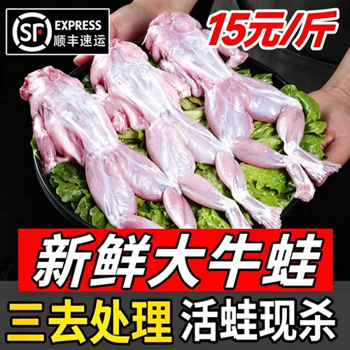 新鲜牛蛙超大特大鲜活去头去内脏