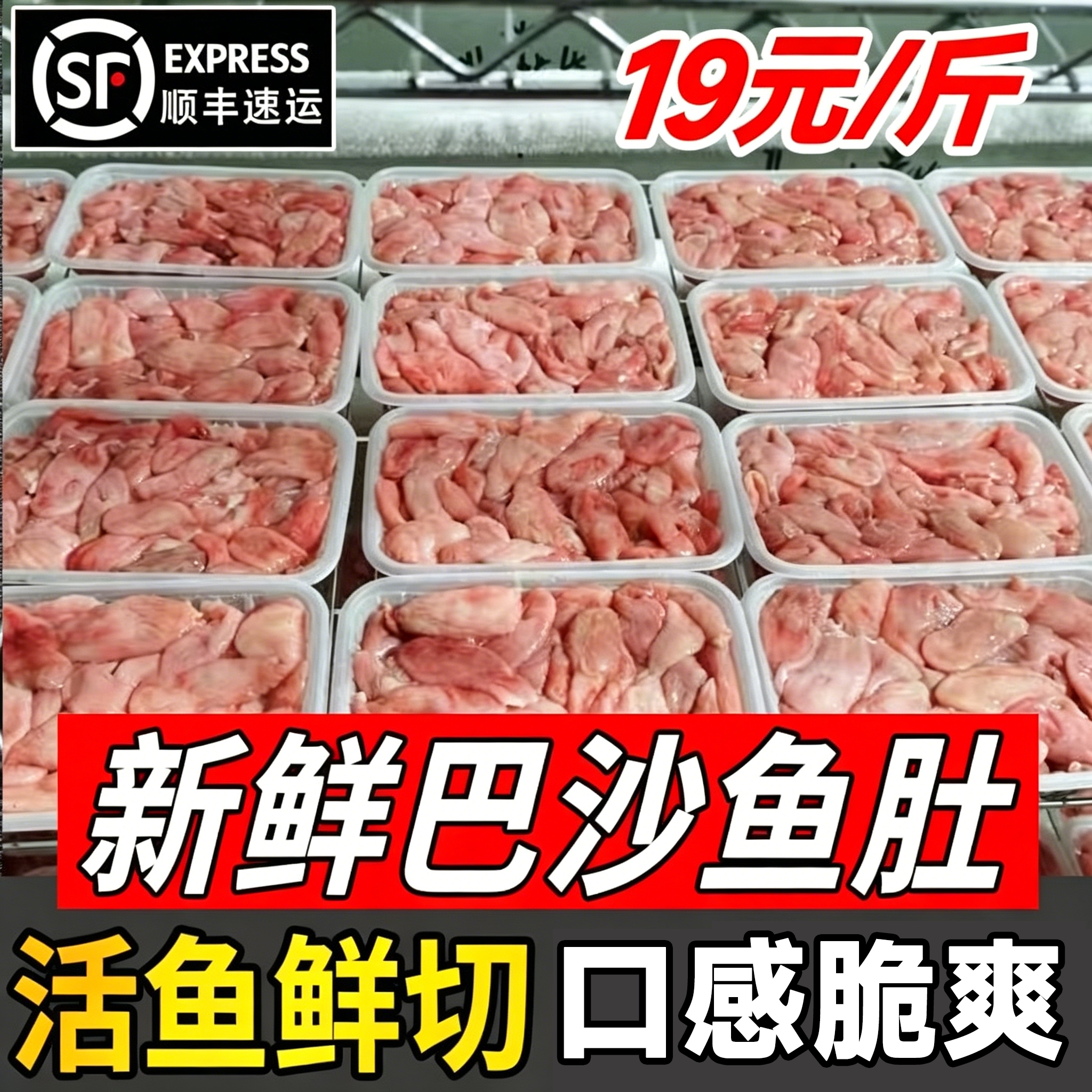 新鲜巴沙鱼肚鱼泡鱼鳔酒店餐饮鲜脆冷冻石斑鱼鱼肚饭店商用食材