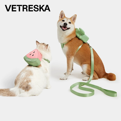 Рюкзак с поводком, защитная майка топ, кактус