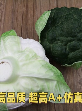 仿真西兰花高仿蔬菜PU蔬菜仿真蔬菜假蔬菜花菜卷心包菜白菜AG06
