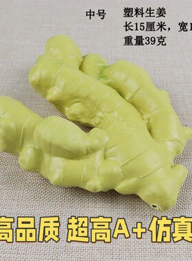 仿真生姜 蔬菜食物模型 美术写生道具 橱柜冰箱装饰摆设高仿 AG02