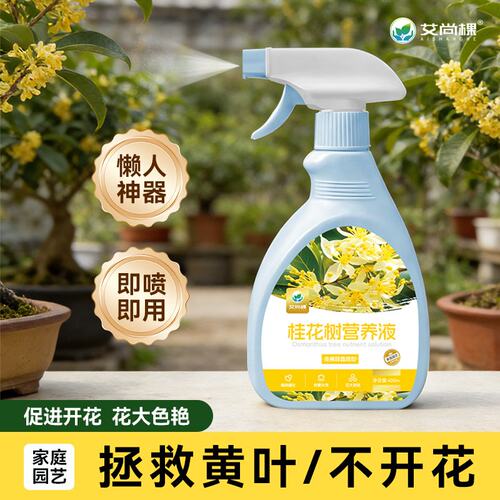 桂花树专用肥金四季桂枯叶干尖枯叶病黄叶掉叶促开花营养液百菌灵