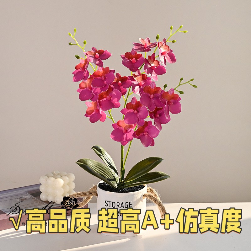 18头手感小蝴蝶兰盆景创意仿真花家居影楼装饰摆件人造绿植盆ZJ61