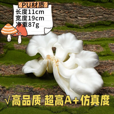 仿真真菌蘑菇模型香菇白毒鹅膏菌真姬菇松茸双鲍菇毒绳伞摆件B35