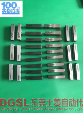 原装正品 施耐博格 NDN1-30.20  精密小滑块现货 出售特价 包邮