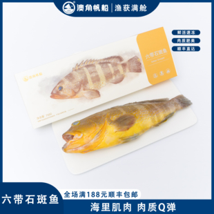 澳角帆船 六带石斑鱼450g/包顺丰包邮土过石斑鱼海鲜活活态速冻