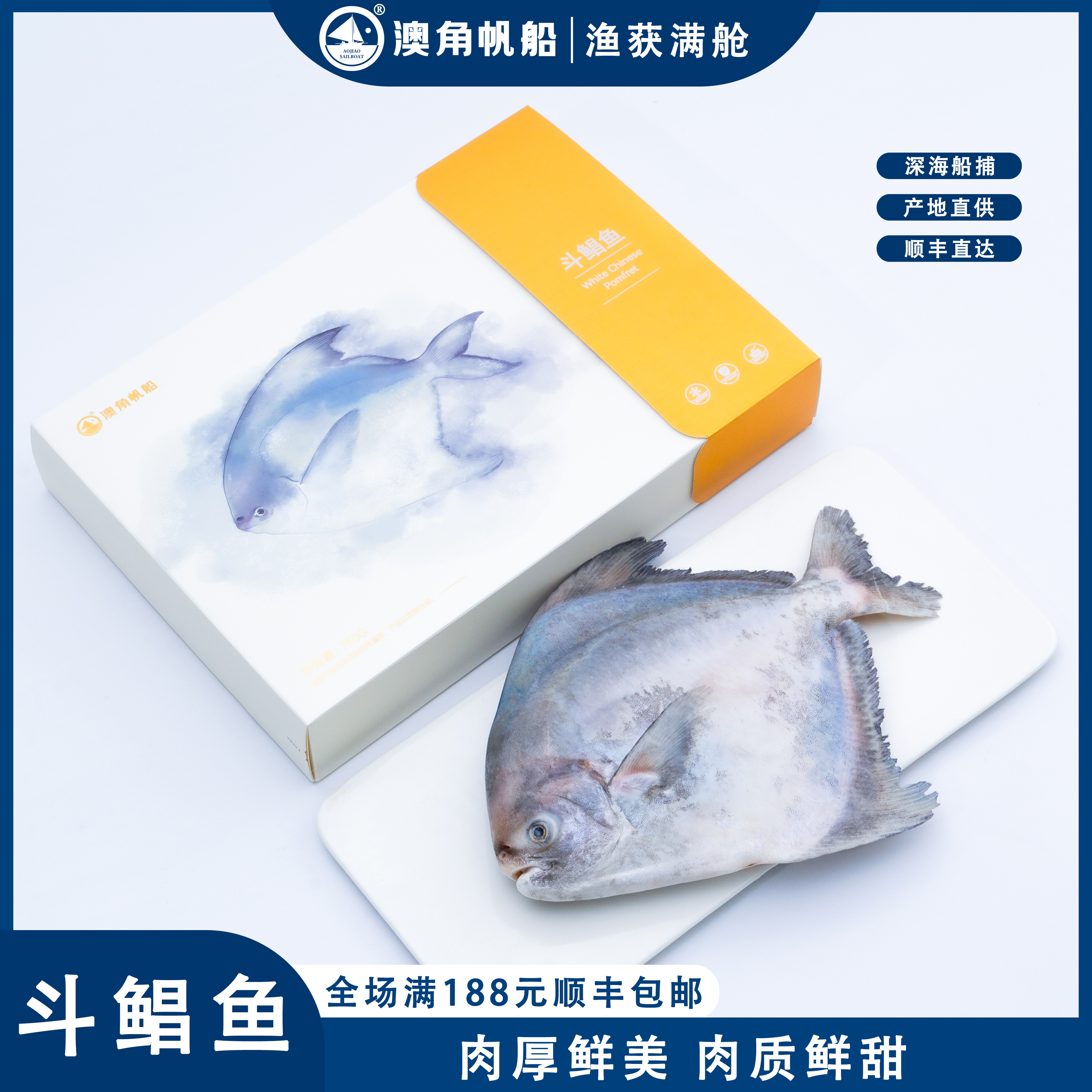 澳角帆船 斗鲳鱼750G/盒东山岛深海捕捞海鲜水产肉厚鲜美中华鲳鱼