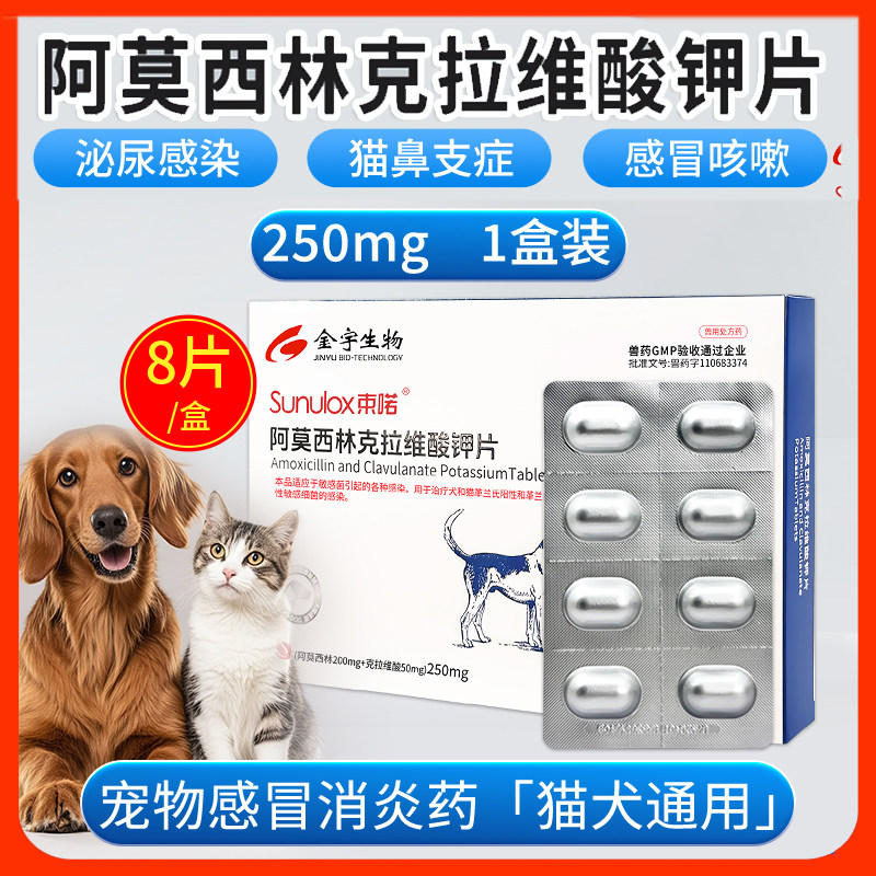 束喏速诺阿莫西林克拉维酸钾片猫狗感冒消炎猫呼吸道感染猫鼻支,宠物/宠物食品及用品,猫呼吸道疾病药品,淘宝优惠券,粉丝福利购,淘宝优惠卷
