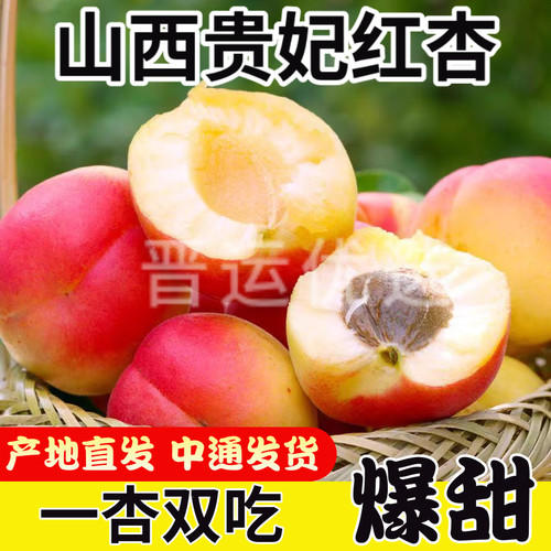 【现货】山西大红杏应季水果孕妇水果应季新鲜水果 杏仁也是甜的