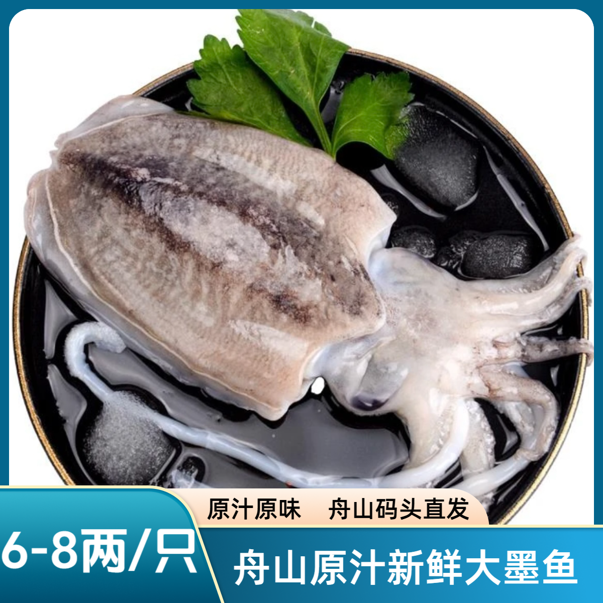 舟山【墨鱼】6-8两/头4斤-6斤装东海大墨鱼乌贼目鱼小船货新鲜