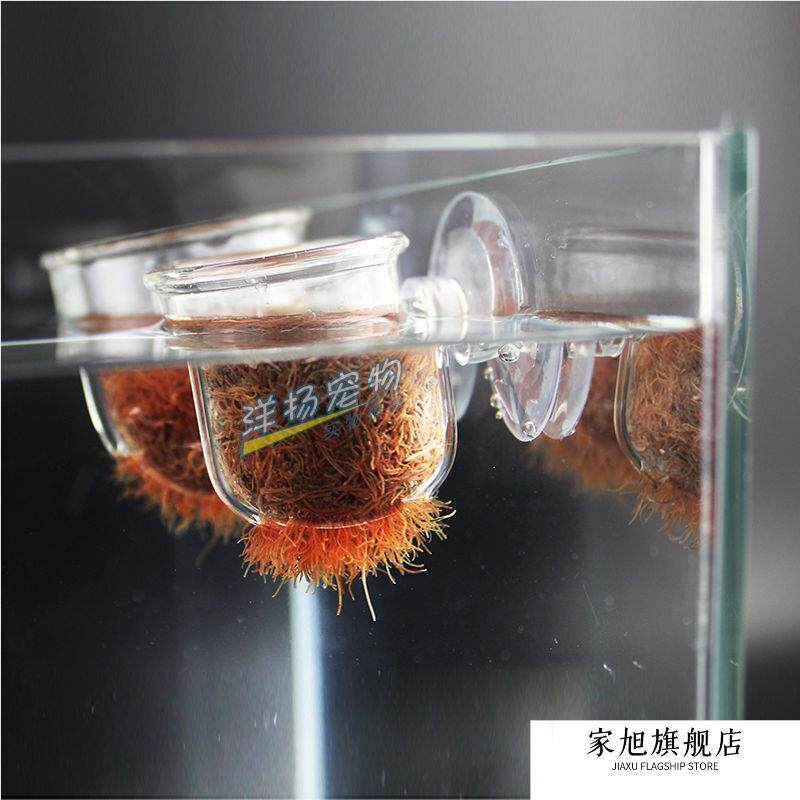 水族箱鱼缸红虫杯线虫血虫喂食器投食吸盘水草活虫漏斗鱼虫杯