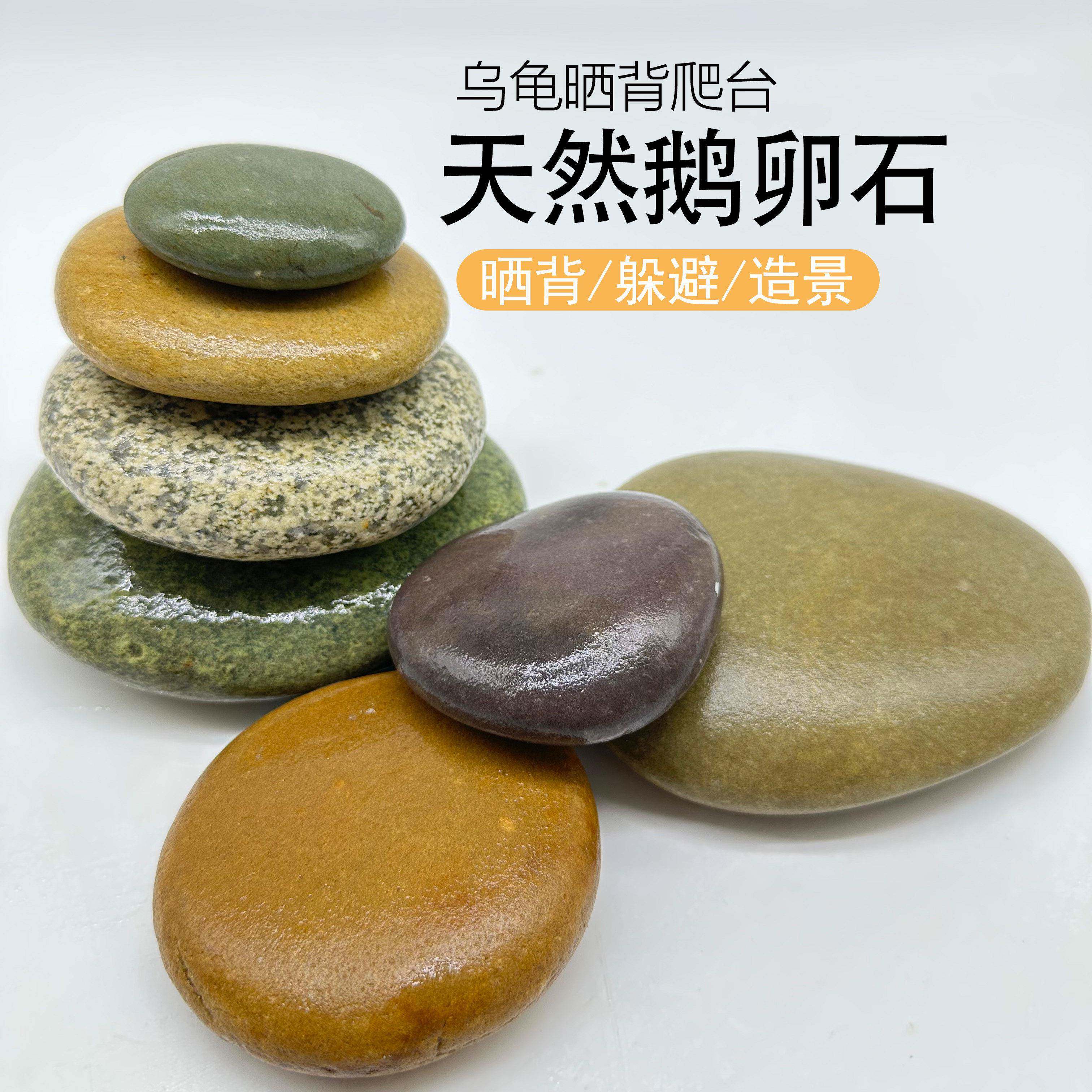 鹅卵石鱼缸造景大号天然乌龟晒台石头爬宠爬台扁龟缸浮岛晒背石躲