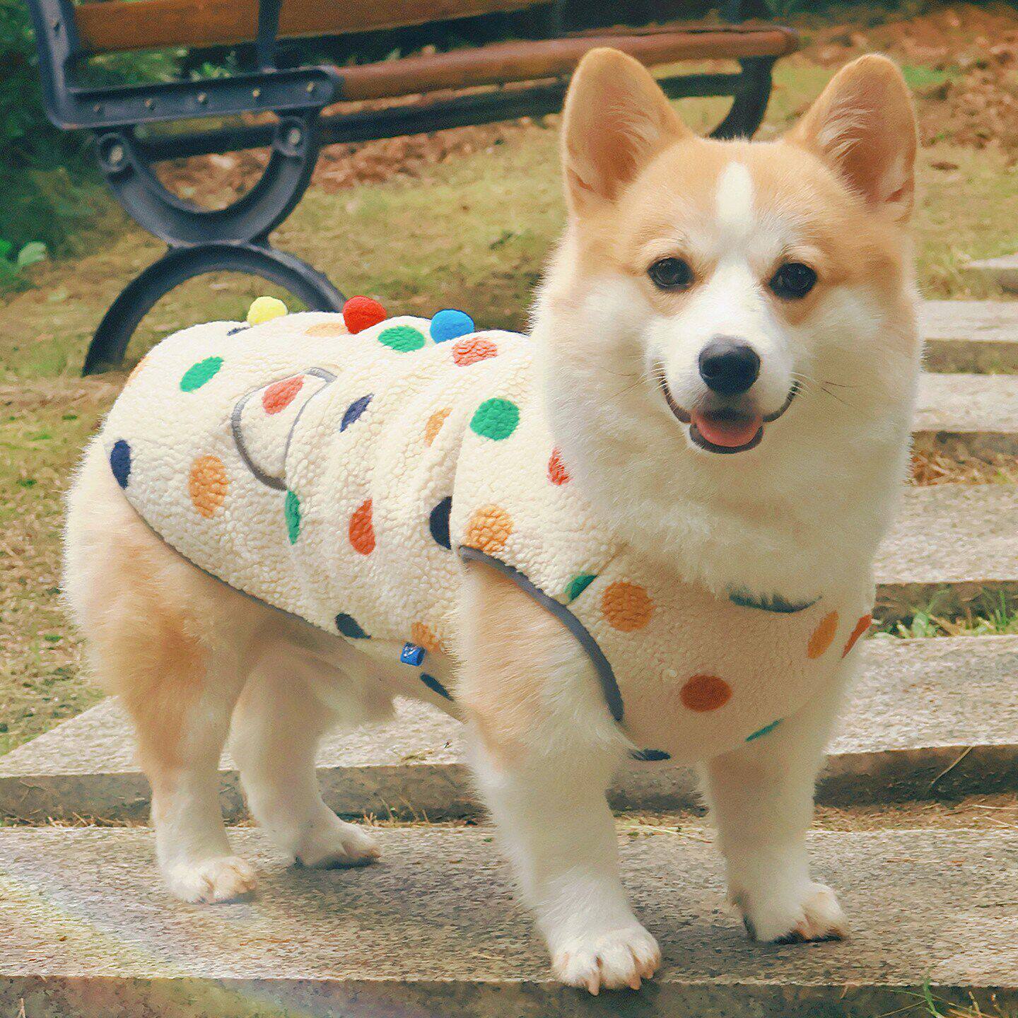 狗狗衣服中小型犬秋冬装柯基柴犬比熊保暖加厚加绒背心防掉毛马甲