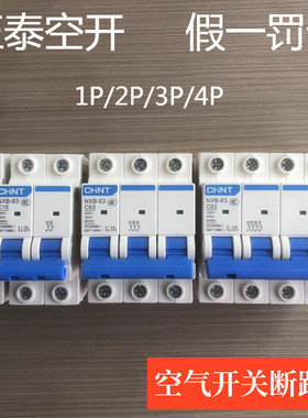 正泰空气开关断路器1P2P3P4P家用小型空开NXB-63 C32A40A63A100A