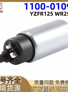 1100-01090摩托车燃油泵适用于Yamaha YZFR125 WR250X燃油泵泵芯