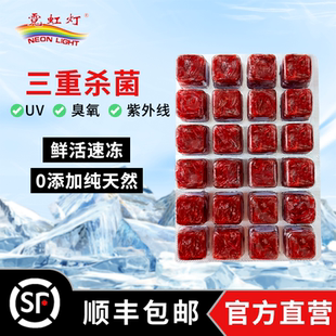 霓虹灯冰冻新鲜红虫丰年虾水蚤牛心汉堡高蛋白通用型已杀菌鱼食