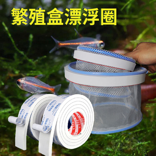 鱼苗繁殖盒漂浮圈EVA高密度海绵胶条孔雀鱼悬浮隔离盒专用漂浮圈