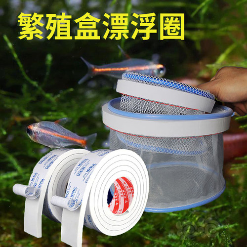 鱼苗繁殖盒漂浮圈EVA高密度海绵胶条孔雀鱼悬浮隔离盒专用漂浮圈