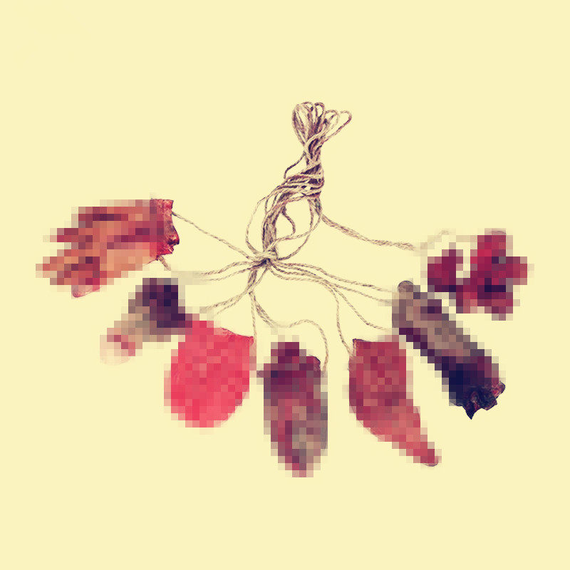 仿真器官道具影视剧心脏断指胃部模型万圣节装饰鬼屋恐怖氛围挂件