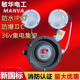 敏华电工防水防爆双头灯IIC消防应急照明集中电源箱集控A型eps36