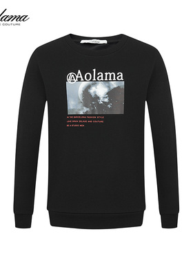 奥拉玛AOLAMA男装秋款长袖卫衣印花休闲纯棉圆领081333906