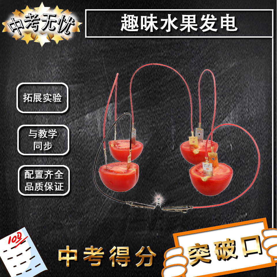水果发电盐水电池学生科技小制作原电池实验套装儿童DIY益智教材