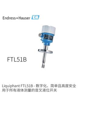 日本Endress+Hauser紧凑型音叉液位开关Liquiphant FTL51B