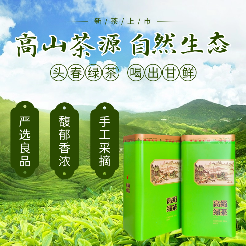头春梅占绿茶梅州炒茶大叶梅子绿茶