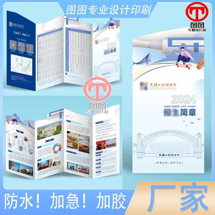 学校简章157克铜版纸两折三页异形宣传单印刷定制公司说明书设计