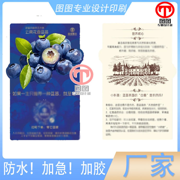 蓝莓300克铜版纸烫金卡片冰糖冬枣双面印刷宣传单定制设计说明卡