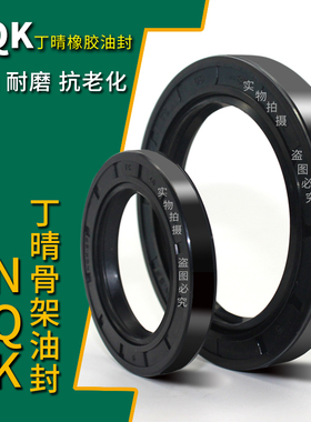 NQK进口高温耐磨骨架油封TC55*75 76 77 78 80*6 7 8 9 10 12 13