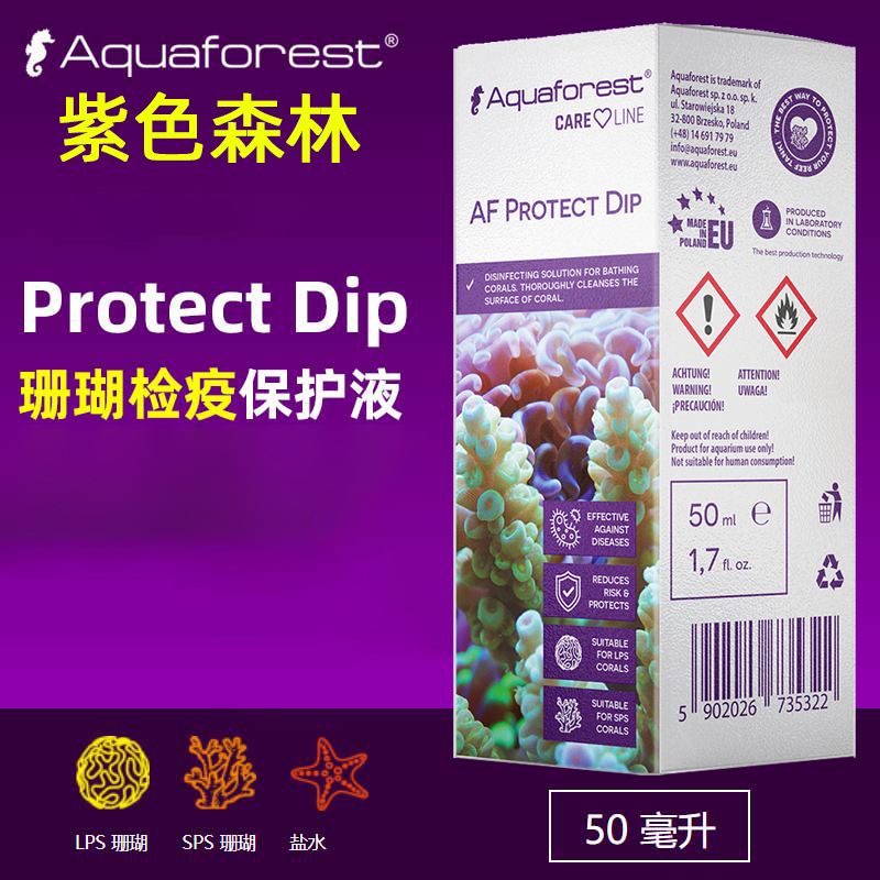 紫色森林检疫水海水珊瑚