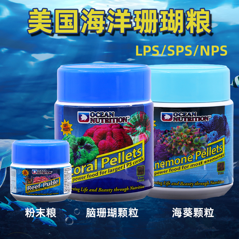 美国海洋珊瑚粮软体大力丸lps饲料颗粒sps粉末海葵脑珊瑚奶嘴纽扣