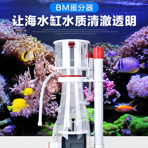 bm可乐curve鱼缸内置蛋分海水缸